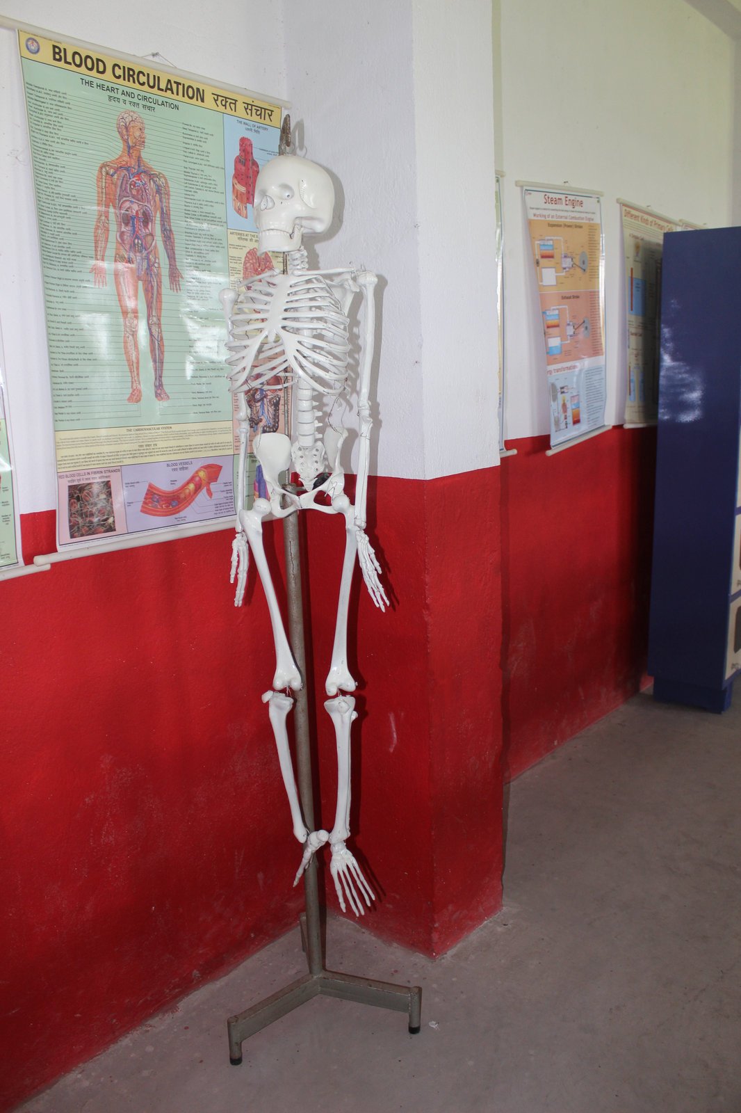 Students at Bal Vidya Niketan